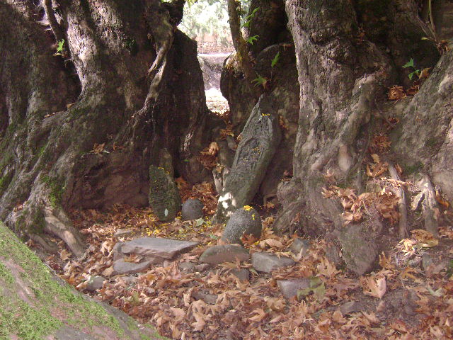 Scattered idols in the lawns of temple.