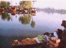 A shikara-wallah grocery.