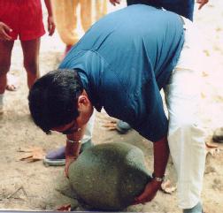 Kah, Kah, Kah,.... (11,11,11, ...) stone at Avantipora Temple